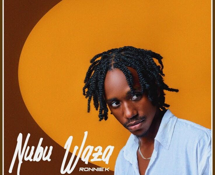 Music Audio : Ronnie K – Nubu Waza | Download Mp3