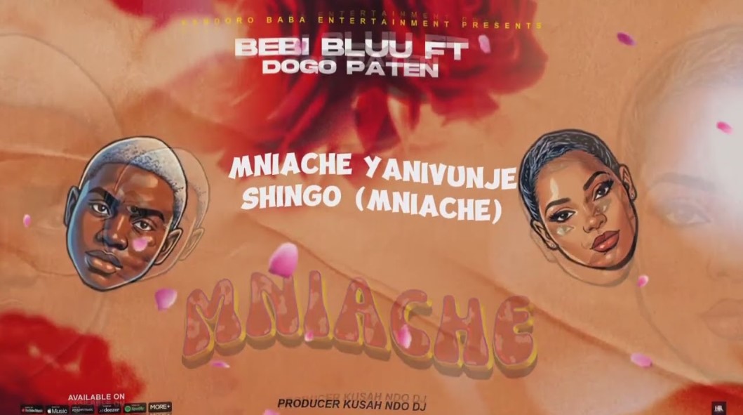 Music Audio : Bebi Bluu Ft Dogo Paten – Mniache | Download Mp3