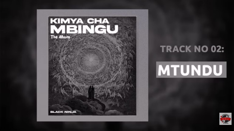 Music Audio : Black Ninjah – Mtundu (punguani) | Download Mp3