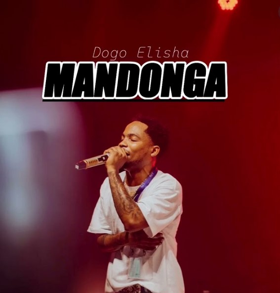 Music Audio : Dogo Elisha – Mandonga | Download Mp3