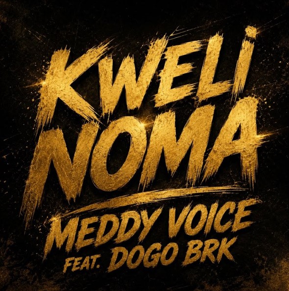 Music Audio : Meddy Voice Ft Dogo Brk – Kweli Noma | Download Mp3