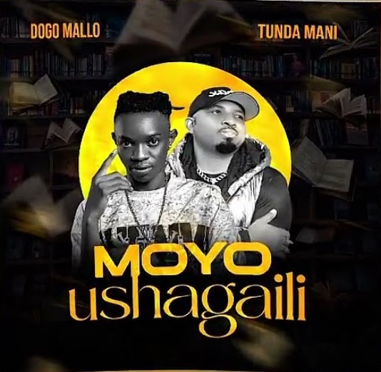 Music Audio : Dogo Mallo Ft Tundaman – Moyo Ushagaili | Download Mp3