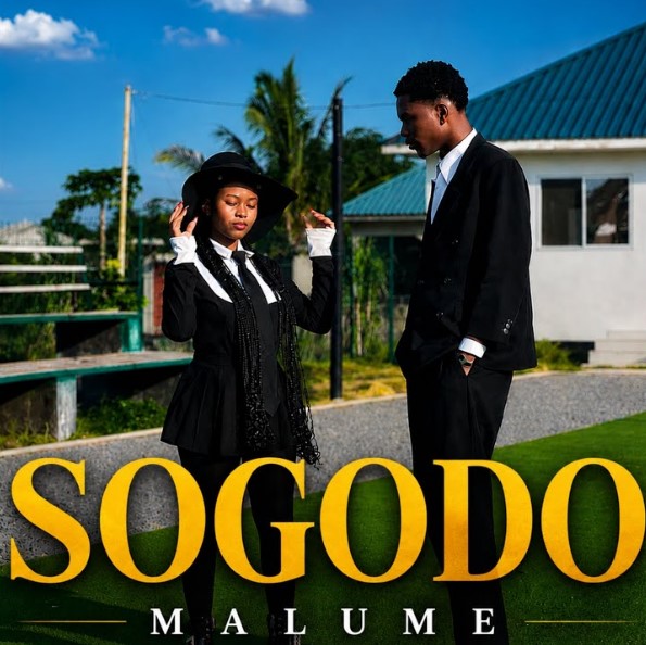Music Audio : Malume – Sogodo (instrumental) | Download Mp3