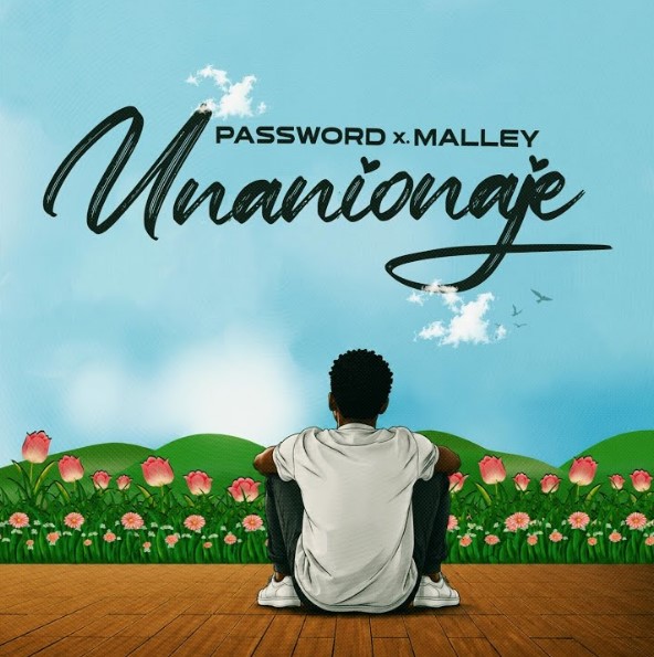 Music Audio : Password Ft Malley – Unanionaje | Download Mp3
