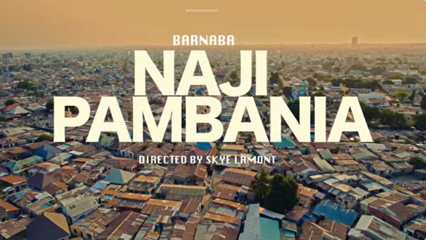 Music Audio : Barnaba – Najipambania | Download Mp3