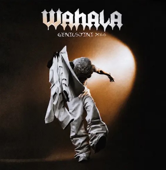 Music Audio : Geniusjini X66 – Wahala | Download Mp3