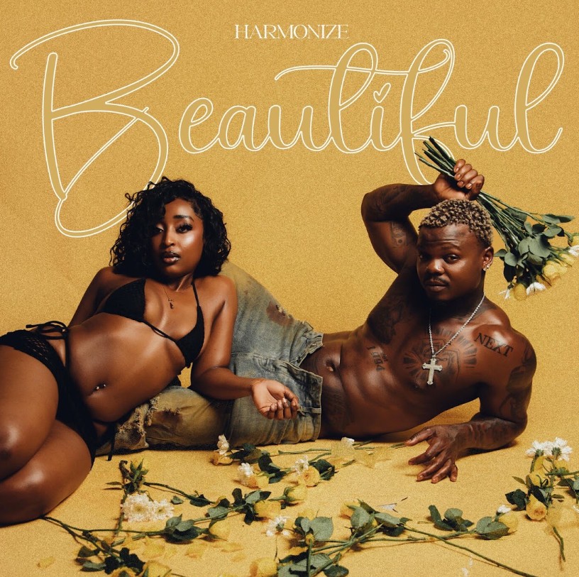 Music Audio : Harmonize – Beautiful | Download Mp3