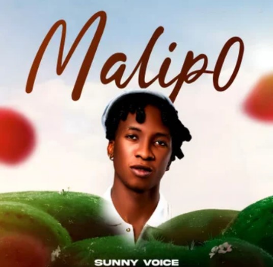 Music Audio : Sunny Voice – Malipo | Download Mp3